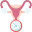 menopause