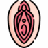 vagina (1)
